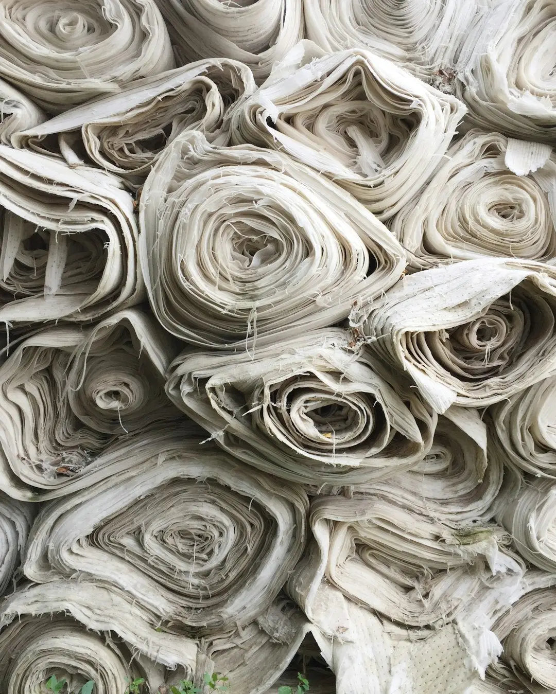 The Rise of Sustainability in Street Wear: Redefining Fashion for the Planet