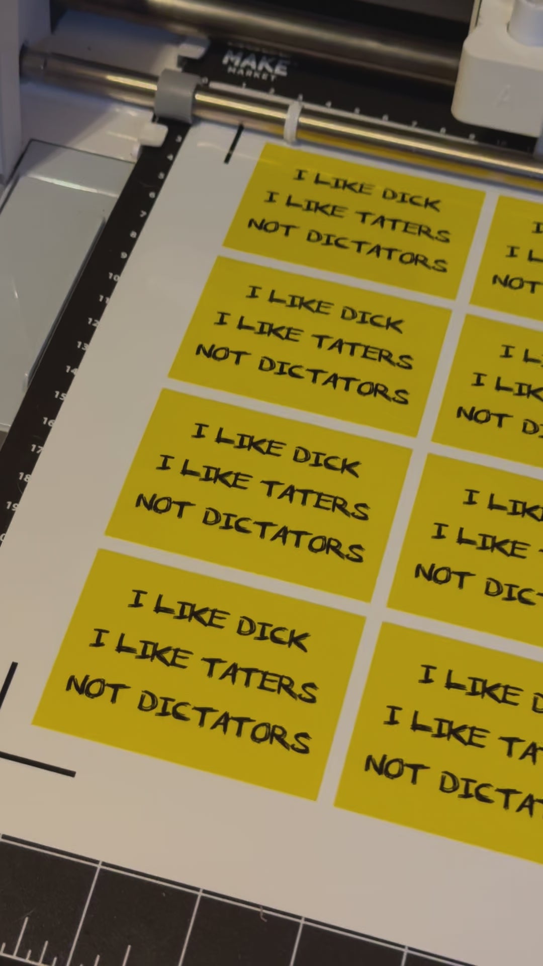 I Like Dick, I like Taters, I dont Like Dictators Stickers