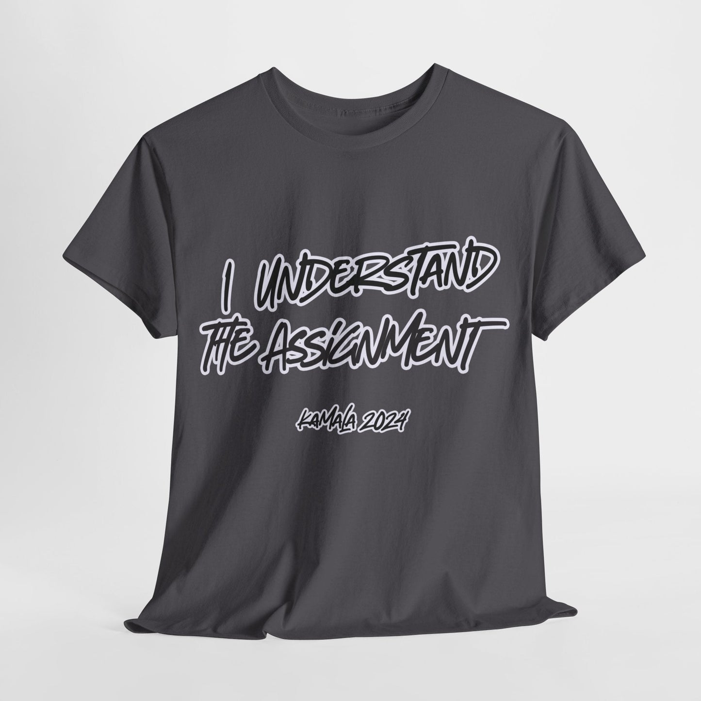 I Understand The Assignment Kamala 2024 Unisex T-shirt