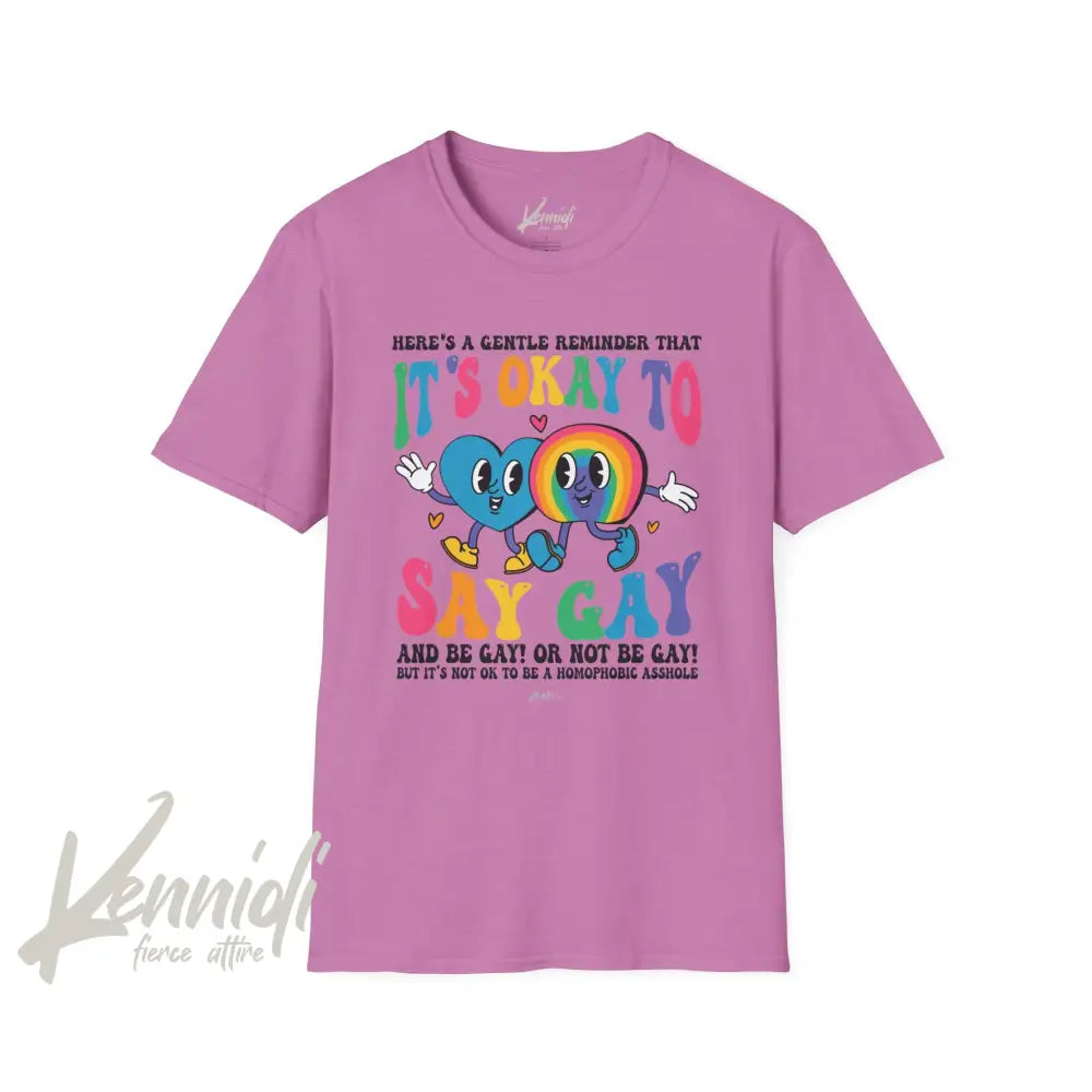 It’s Okay To Say Gay Pride Unisex Softstyle T-Shirt Heather Radiant Orchid / S