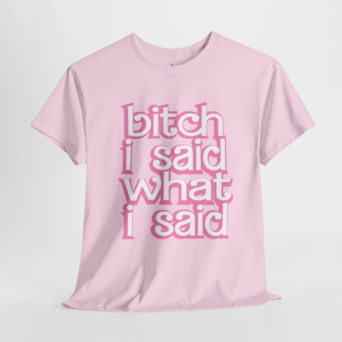 Barbz Fan Tee- Bitch I Said What I Said