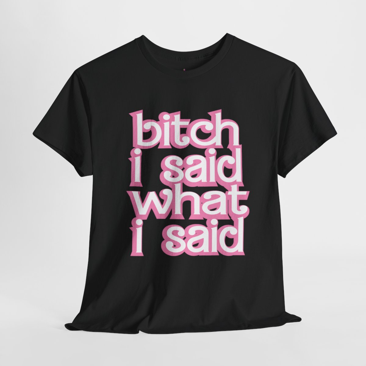 Barbz Fan Tee- Bitch I Said What I Said