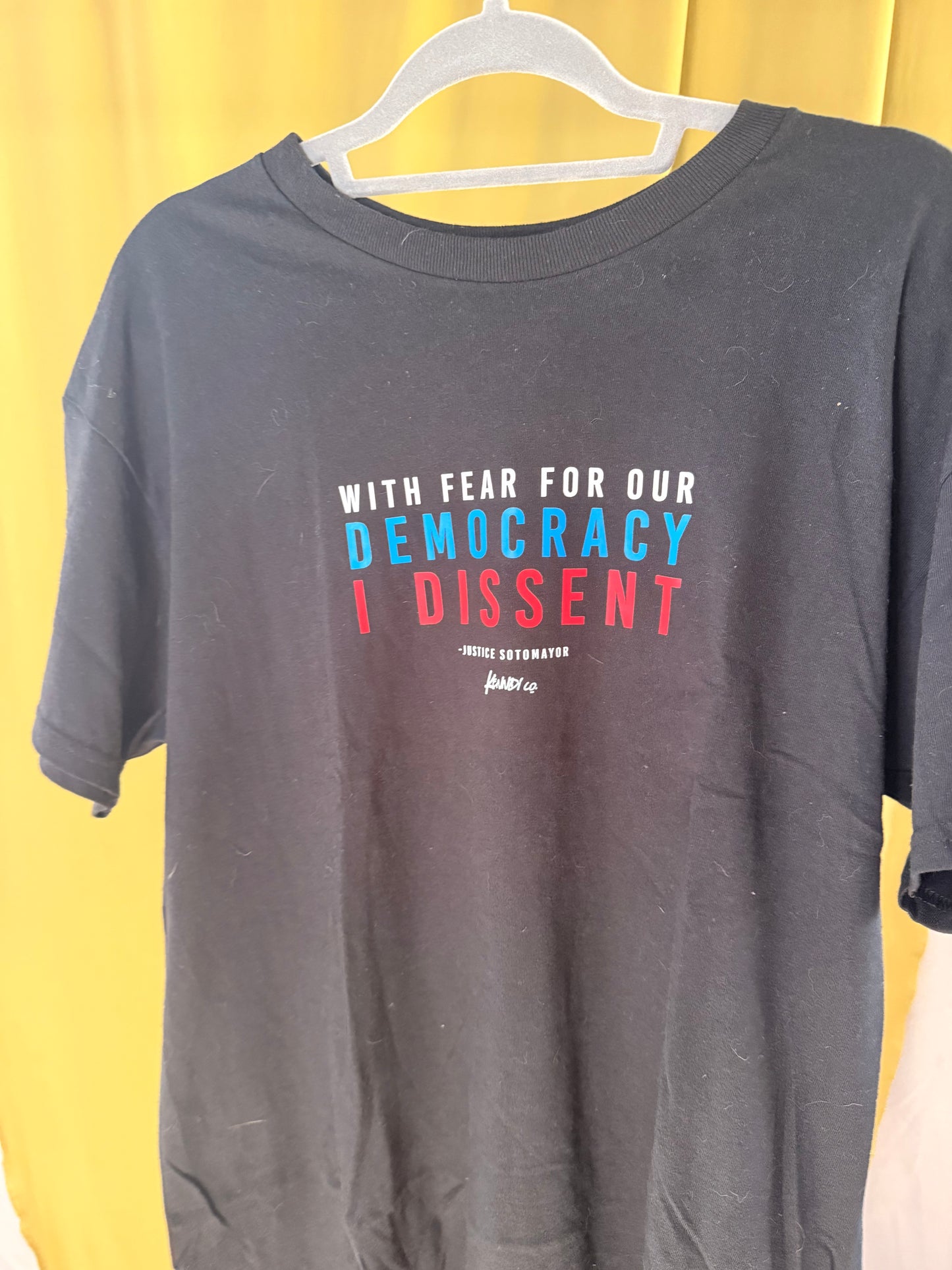 With Fear Of Democracy I Dissent t-shirt