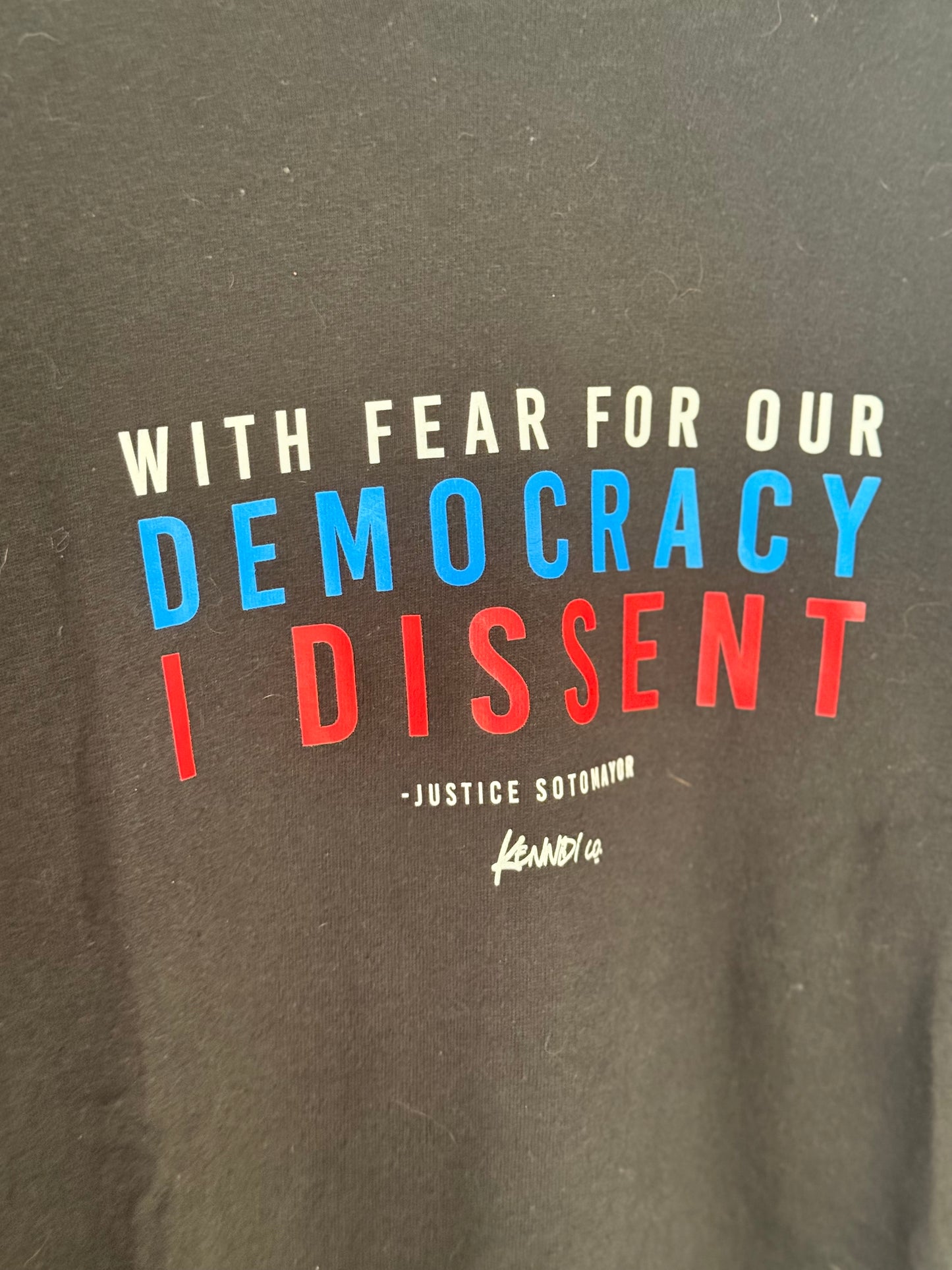 With Fear Of Democracy I Dissent t-shirt