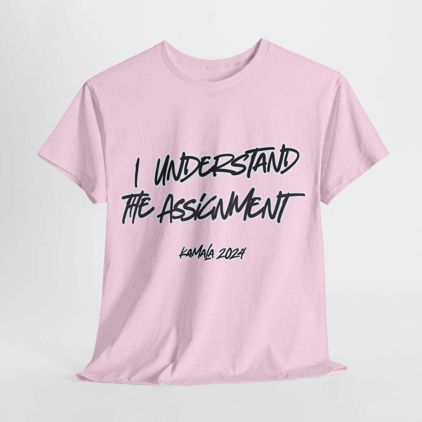 I Understand The Assignment Kamala 2024 Unisex T-shirt