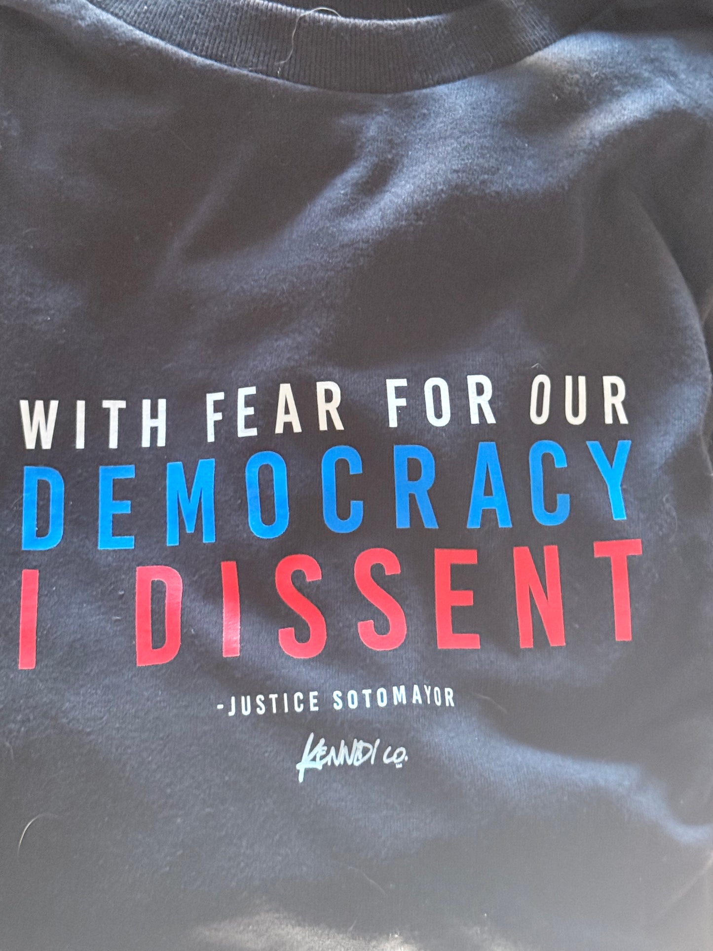 With Fear Of Democracy I Dissent t-shirt