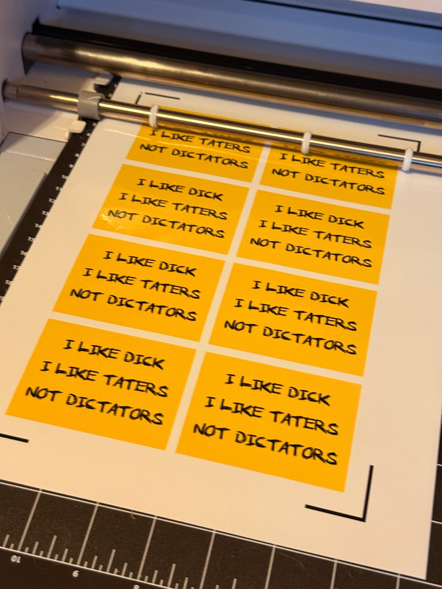 I Like Dick, I like Taters, I dont Like Dictators Stickers